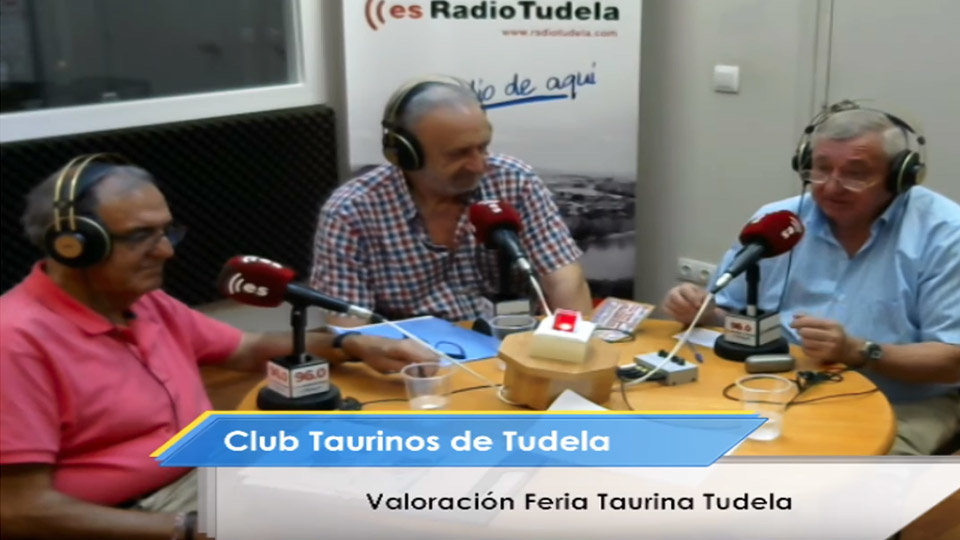 Clubs Taurinos de Tudela