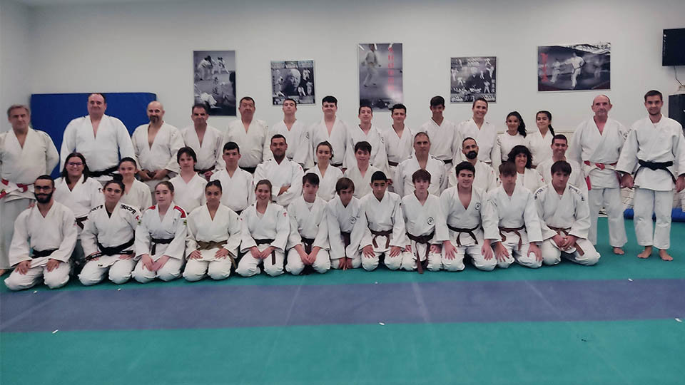 shogun judo aula formacion