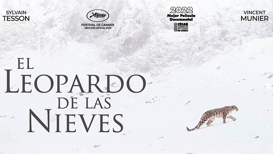 ciclo cine medio ambiente leopardo nieves