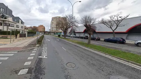 Avenida del Instituto de Tudela