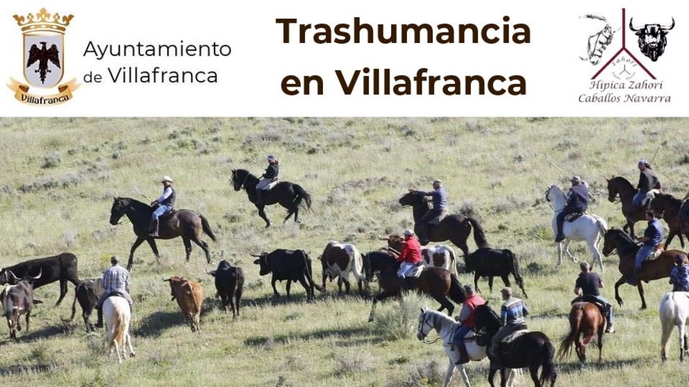 Trashumancia en Villafranca 2023