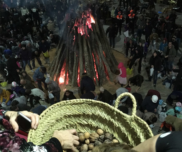 lanzamiento de las nueces
