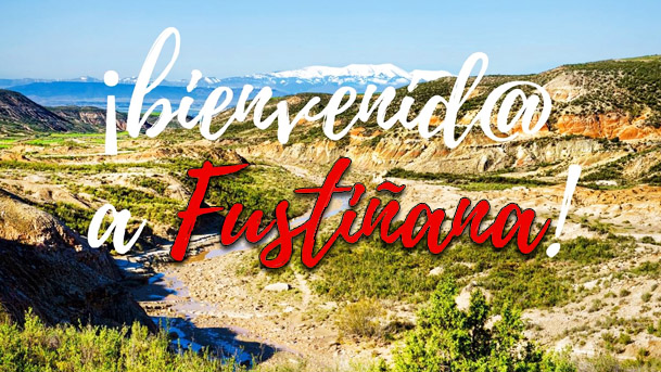 Bienvenido a Fustiñana
