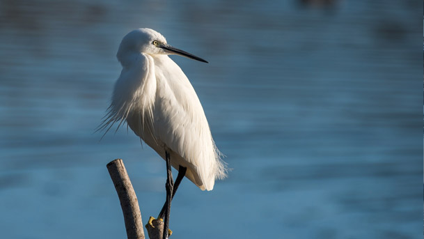 naturaleza fustiñana
