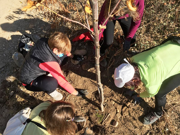 Jornada de Plantación de árboles en Corella