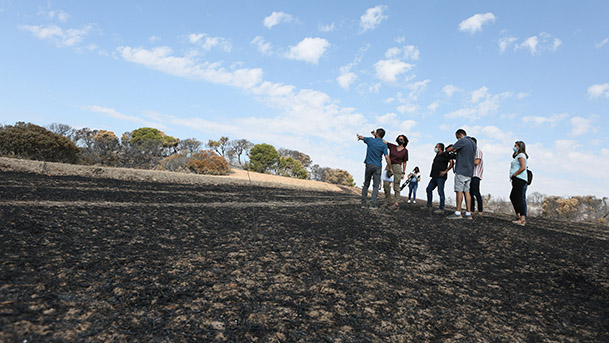 incendio vedado eguaras12