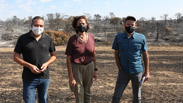 incendio vedado eguaras13