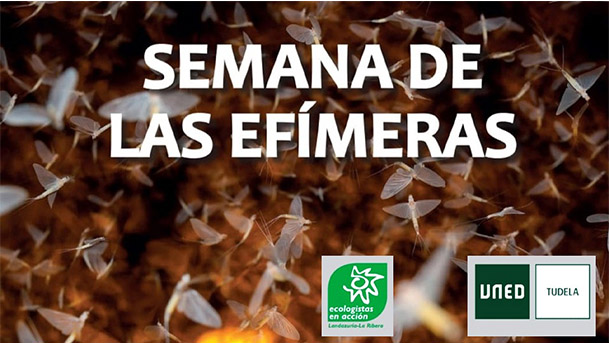 efímeras2