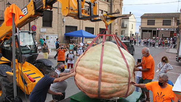 valtierra calabazas gigantes3