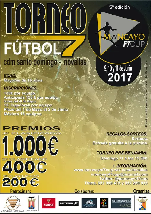 cartel torneo futbol 7