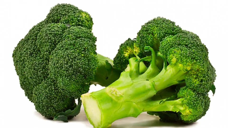 Brocoli