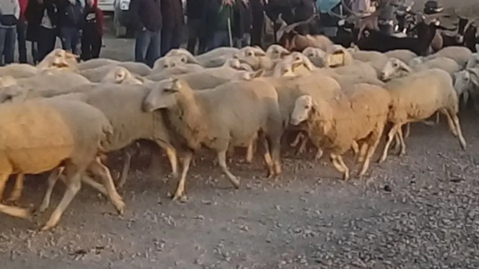 Bardenas etapas