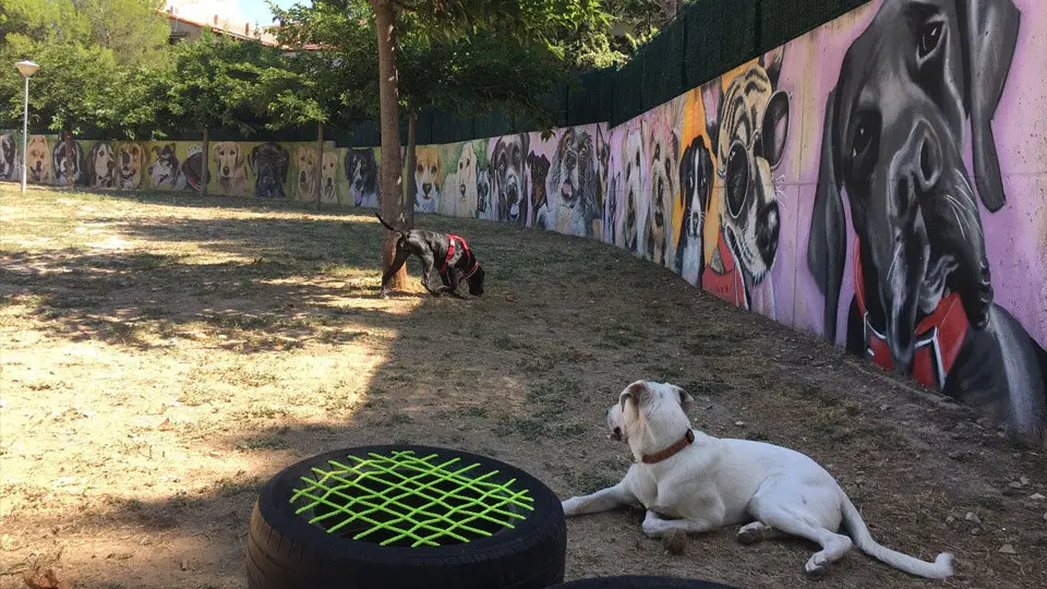 Parque Canino de Cascante