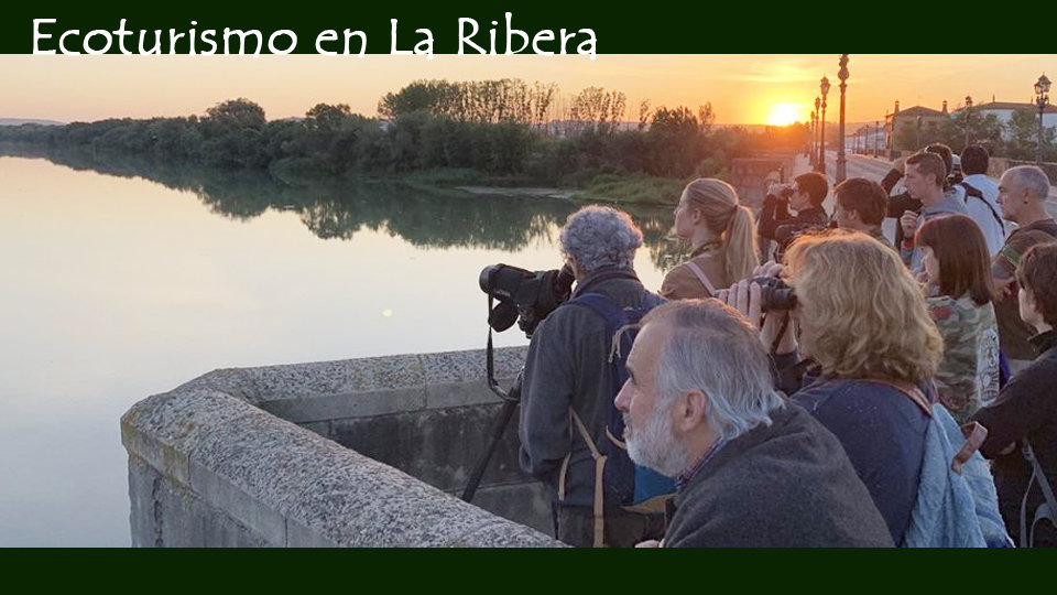 Ecoturismo en La Ribera de Navarra