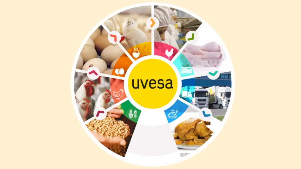 UVESA