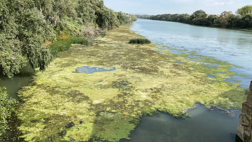 Río Ebro