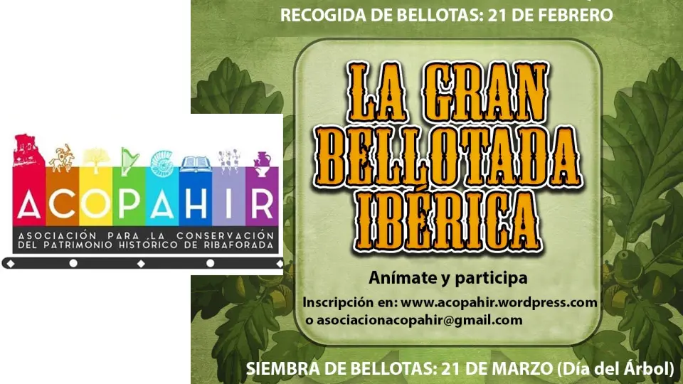 La Gran Bellotada Ibérica de ACOPAHIR