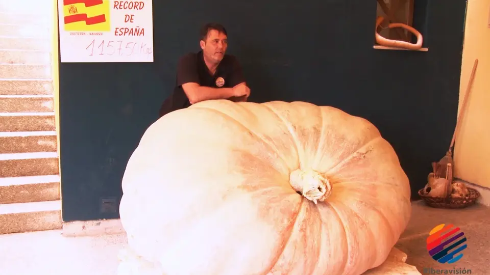 Rubén Mendi, Ganador del Récord de España en la Feria de la Calabaza de Valtierra 2021