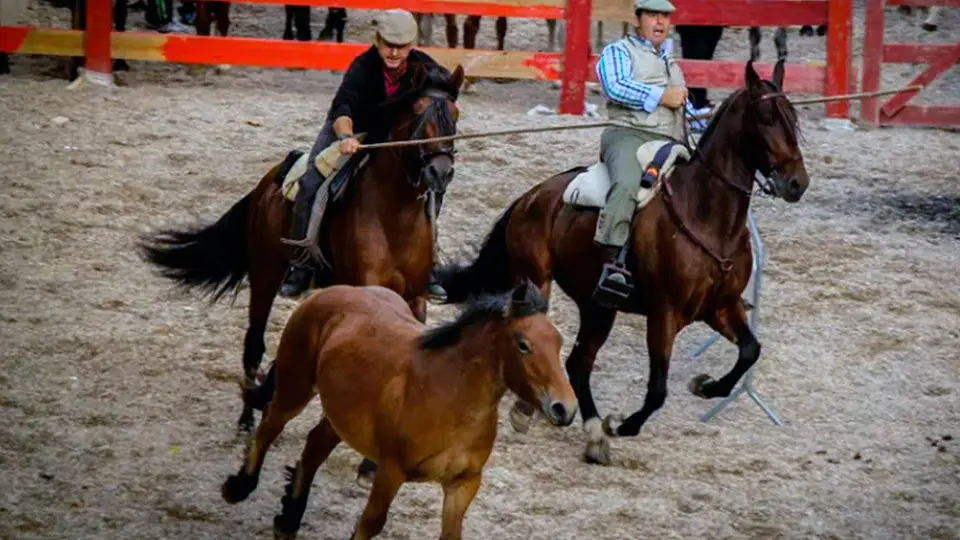 feria marcilla