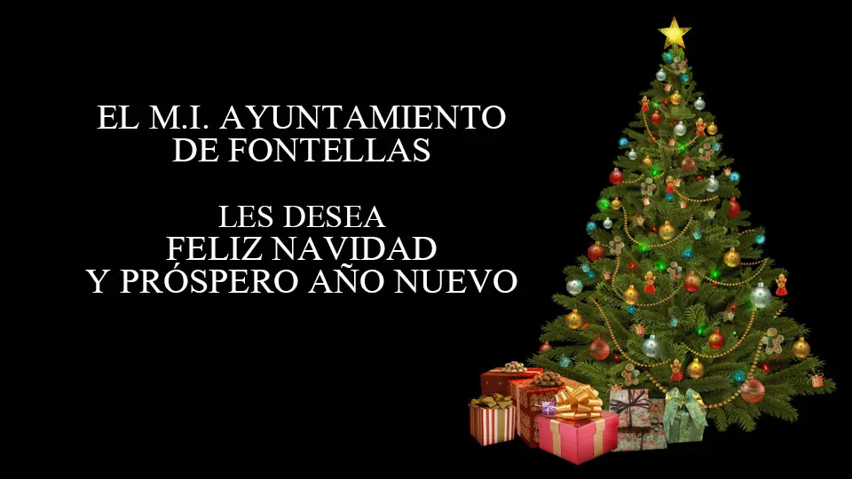 Agneda Fontellas Navidades 2021