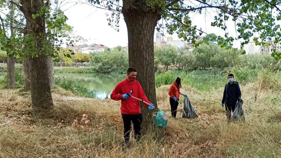 Limpieza del entorno del río Ebro en Tudela