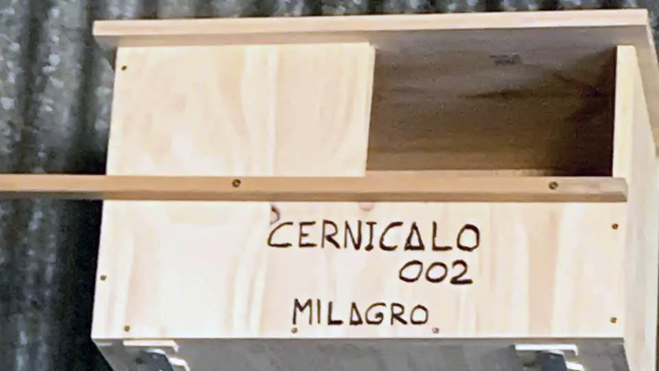 milagro caja nido