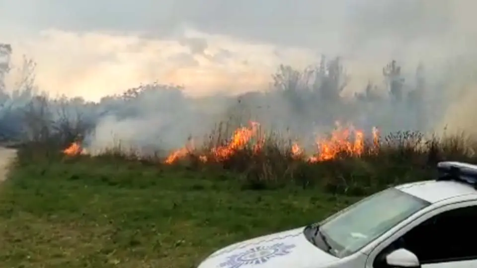 incendio en cintruénigo