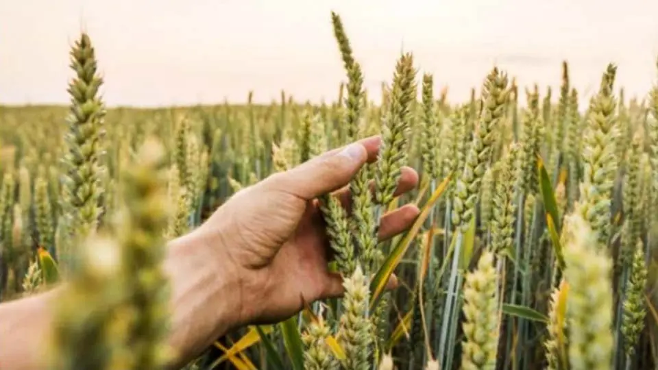 Jornadas Agrarias en Vera del Moncayo 2022