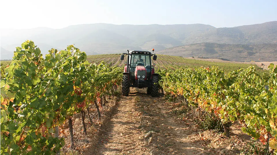 agricultura navarra