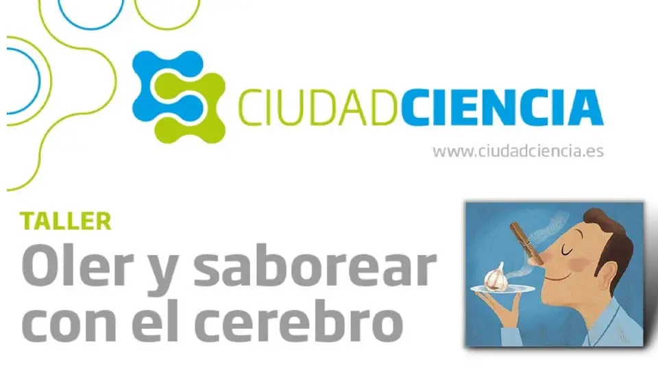 Taller oler y saborear con el cerebro