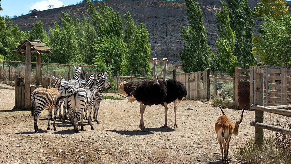 incendio bardenas sendaviva animales