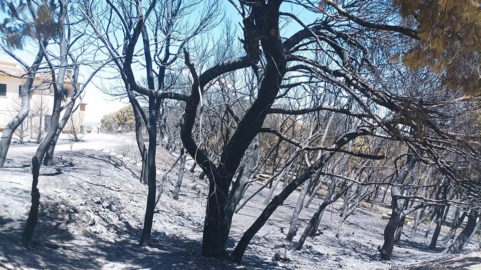 bardenas arguedas albergue incendio