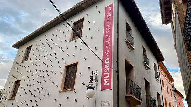 museo muñoz sola tudela