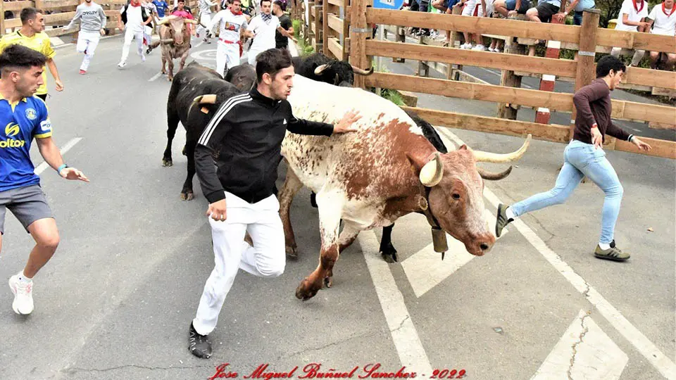 encierro 29julio