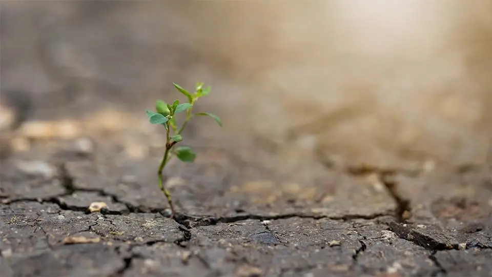 Cambio climático