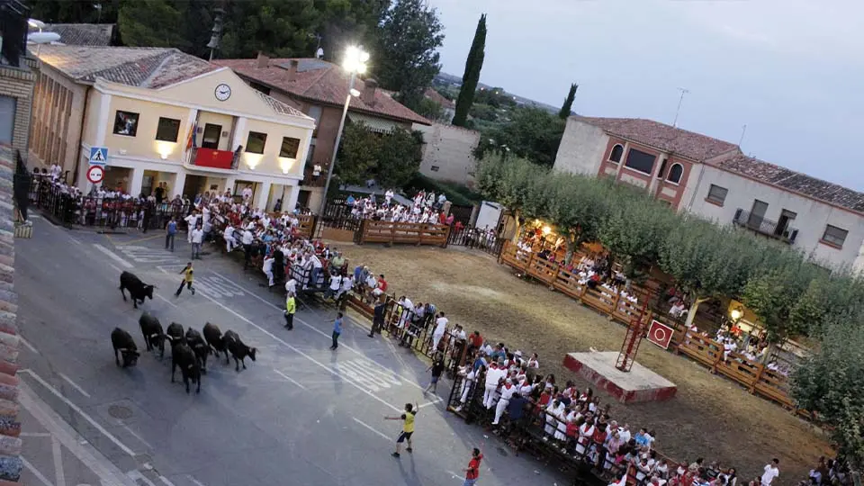 Vacas en Monteagudo. Foto www.monteagudo.es