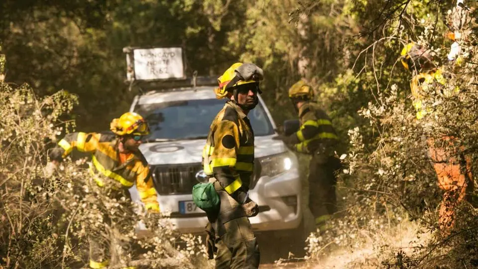 Incendio Forestal Añón de Moncayo