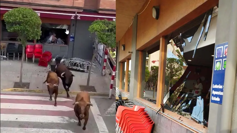 Ventana rota de la Cafetería La 2000 en Ribaforada