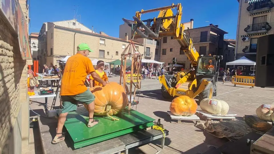 Pesaje Calabaza Gigante Valtierra 2022