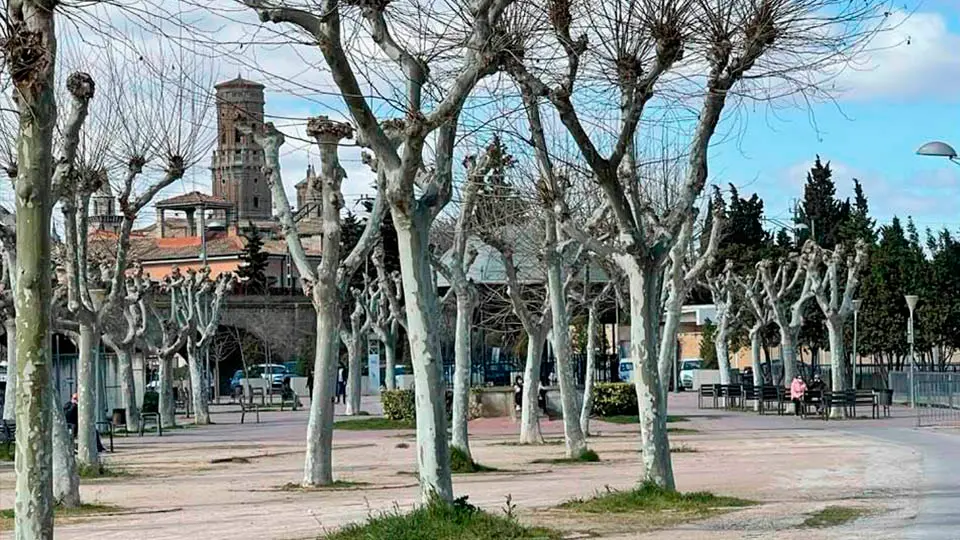 paseo prado tudela