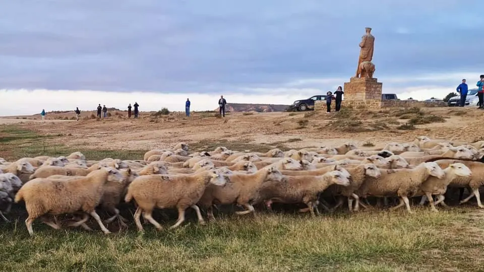 Ovejas en Bardenas trashumancia Estatua Pastor 3