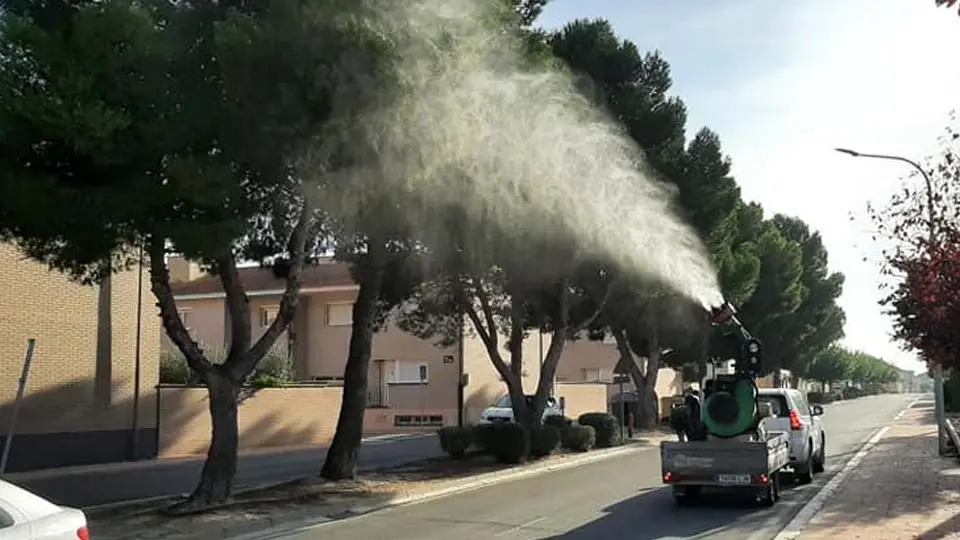 Fontella fumiga sus pinares