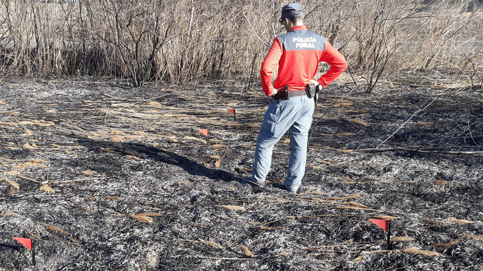 incendio balsa del pulguer cascante