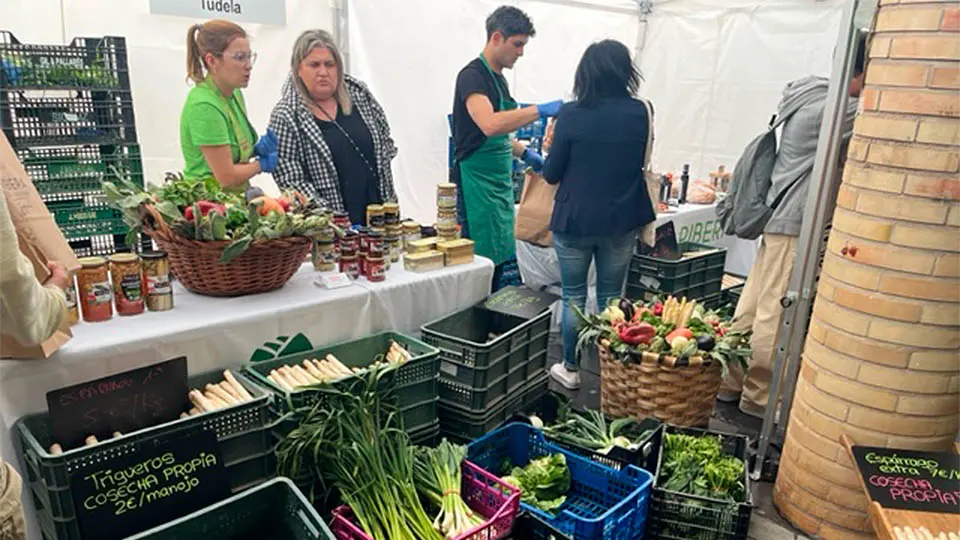 feria verdura gastronomia