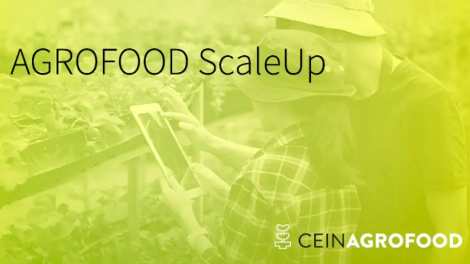 agrofood scaleup cein