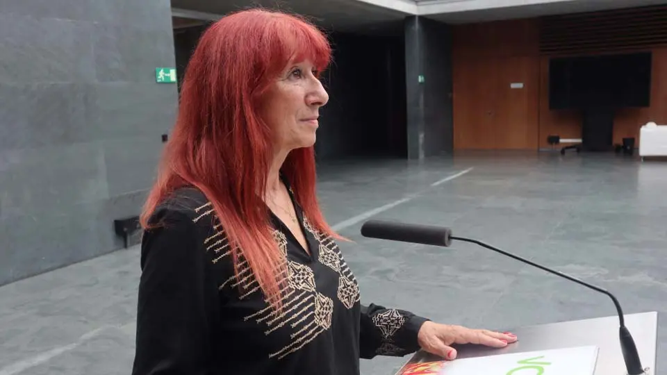 Portavoz de VOX en el Parlamento de Navarra, Maite Nosti.