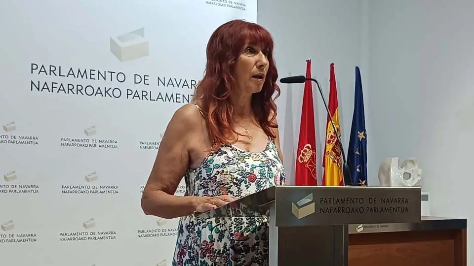 Maite Nosti, Vox Navarra