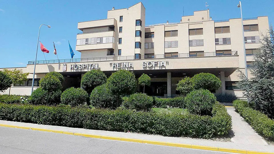 hospital reina sofia tudela