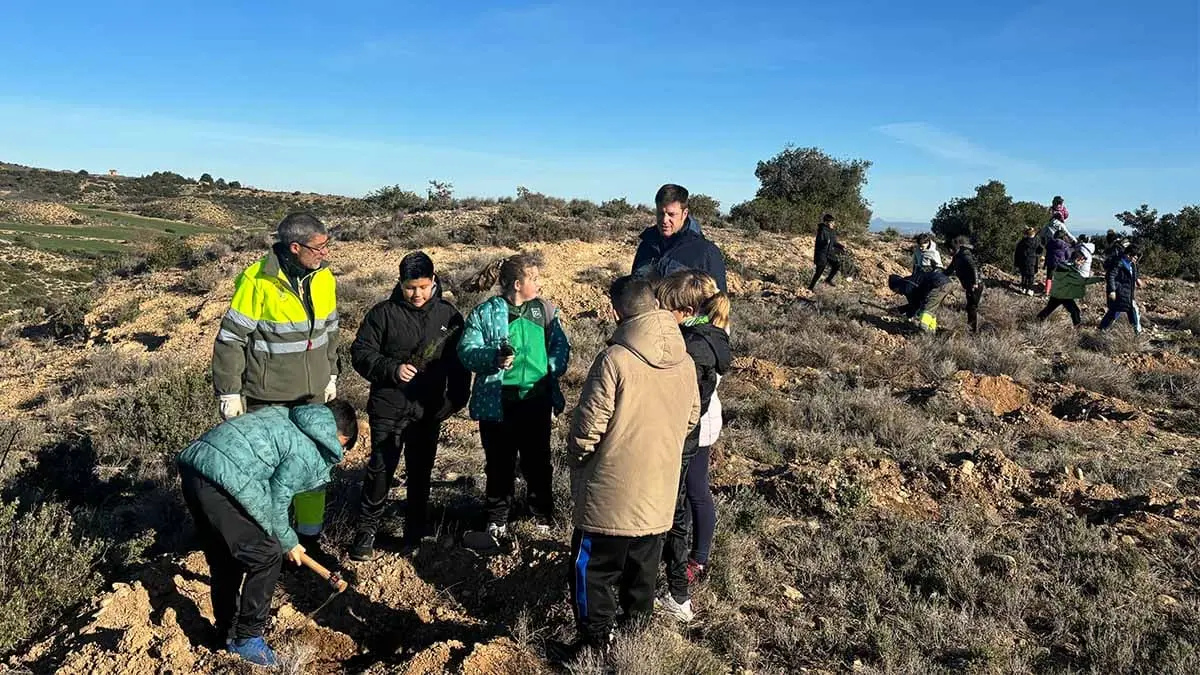 tarazaona reforestacion monte escolares2