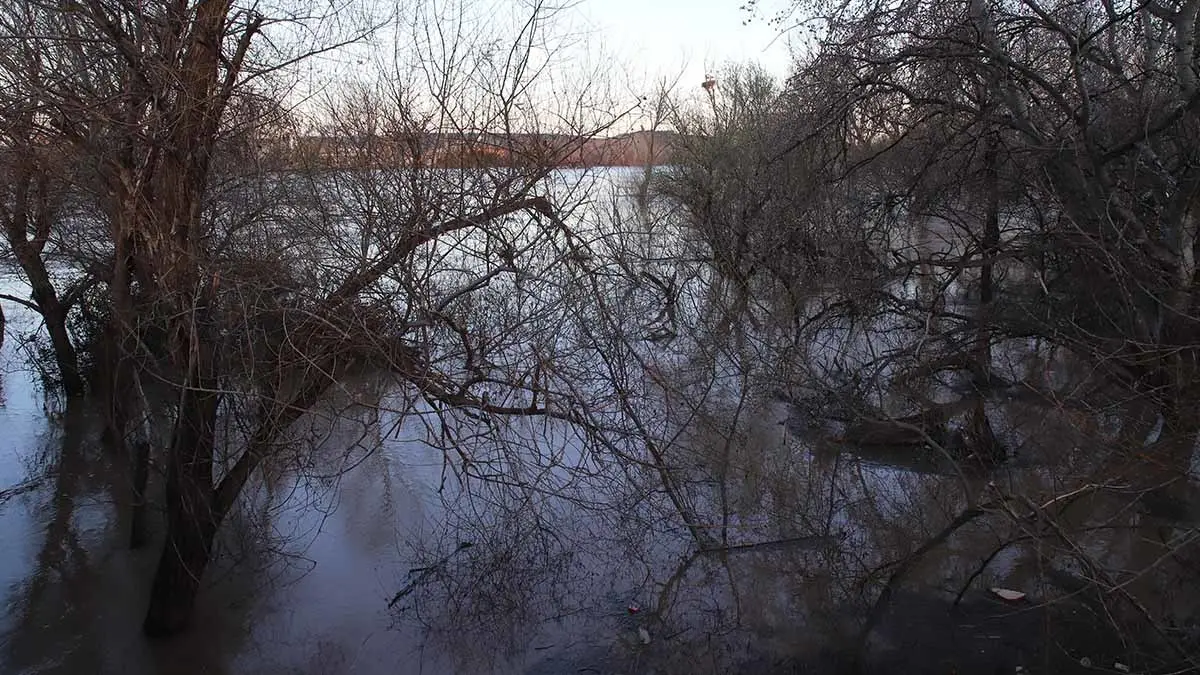 inundaciones en Tudela (48)